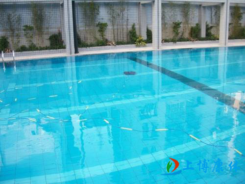 大朗别墅游泳池工程水体清洁