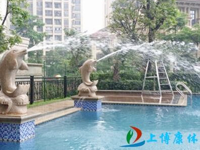 惠州游泳池工程告诉大家夏季如何正确选择公共游泳池