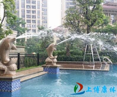 惠州游泳池工程